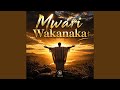 Mwari wakanaka