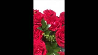 Premium red rose arrangement Hanoi