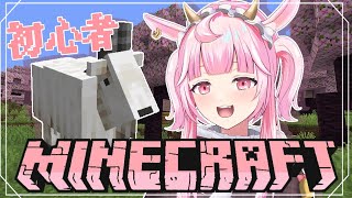 【#minecraft ＃マイクラ】　ラプシ・メロー【＃新人VTuber】