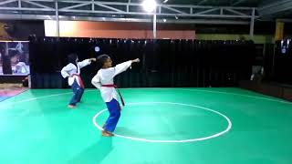 14 gerakan movement taekwondo