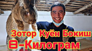 ЗОТОР КУЁН БОКИШ БИЗНЕСИ КАНДАЙ БОЛАДИ СИЗ КУТГАН ТОЛИК ВИДЕО