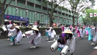 原宿元気祭りスーパーよさこい２０１３　甲斐風林火山ー表参道アベニュー20130825141324