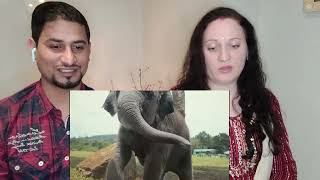 Oscar 2023 The Elephant Whisperers Trailer Reaction || Addi & Marcia