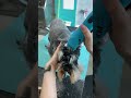 Schnauzer Full Grooming  #doggroomingtips