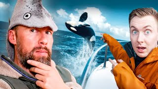 SO NAH an den ORCAS beim ERSTEN MAL?! Tomatolix als Orca Forscher | Robert Marc Lehmann reagiert