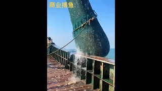 戶外捕魚：世界上最賺錢的工作之大型捕撈魚蝦 #戶外 #出海捕魚 #戶外捕魚