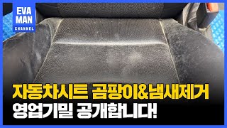 역대급 자동차 곰팡이 가죽시트! 곰팡이 없애는 방법 대공개! 속이 시원해지는 영상!