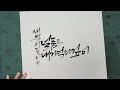 주연캘리그라피 봄이라는 계절을 향유 하는것 붓 캘리그라피로 표현 짧고 좋은 글귀 calligraphy