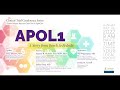 APOL1 - A Story from Bench to Bedside