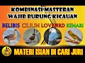 MASTER BURUNG MEWAH PALING DICARI!!! CILILIN BELIBIS LOVEBIRD KENARI