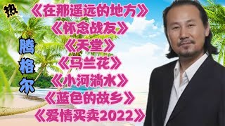 腾格尔在那遥远的地方怀念战友天堂马兰花爱情买卖2022