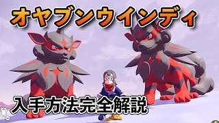 【ヒスイの姿】オヤブンウインディの入手方法を１から10まで解説します！！【ポケモンレジェンズアルセウス】