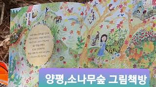 양평 소나무숲에 그림책 산책 왔어요.