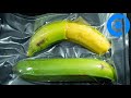 Bananas In Vacuum Bag Time Lapse - Rotting Time Lapse