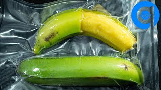 Bananas In Vacuum Bag Time Lapse - Rotting Time Lapse