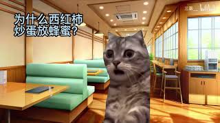 【猫meme】关于我从小到大遇到的怪事09 #猫meme