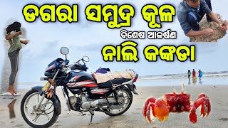 Dagara sea Beach || baliapal balesore ଡଗରା ସମୁଦ୍ରକୂଳ || ନାଲି କଙ୍କଡା ଦୃଶ୍ୟ crabs 😱MR New world