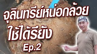 ติดตามผลการทำจุลินทรีย์หน่อกล้วย สูตรหัวเชื้อ(อัพเดท)