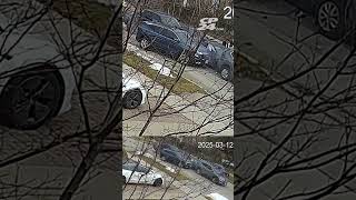 High-risk takedown of retail robbery suspects caught on camera