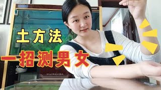 军嫂晴晴二胎怀孕4个月，用土方法测试男孩女孩，太神奇了吧