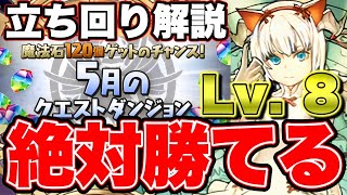 【5月クエLv8】固定チーム立ち回り解説！指長めでパズル頑張るだけ！組み方のコツ教えます！【パズドラ】