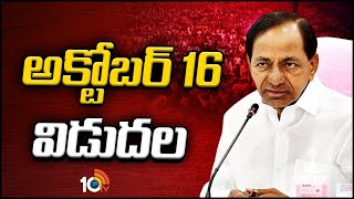 BRS మేనిఫెస్టో‎పై కేసీఆర్ కసరత్తు | CM KCR Focus On BRS Manifesto | 10TV Digital