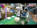 2022.02.13【在地真台灣】台科大與三總合作 研發3d列印仿真性人工腦