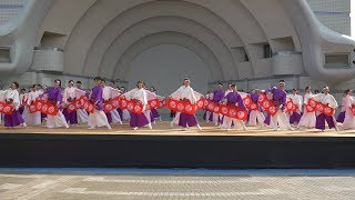 ふくこい連さん 日曜•代々木公園 原宿表参道元氣祭スーパーよさこい2017