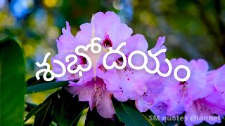 Good morning in telugu whatsapp status | శుభోదయం | subodayam whatsapp status HD | whatsapp status