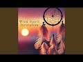 Echoes of the Sacred Wind