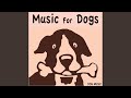 Dog Music