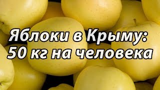 Крым: урожай яблок и винограда