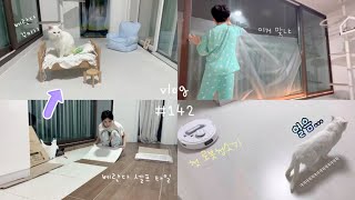 브이로그#142 캣타워만들기🐱🏠베꾸💖붙이는 데코타일로 베란다 환골탈퇴! 블랙프라이데이 쇼핑 아이템 소개🛍️