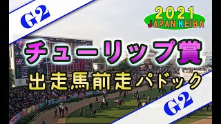 【競馬パドック】チューリップ賞（2021年）前走パドック