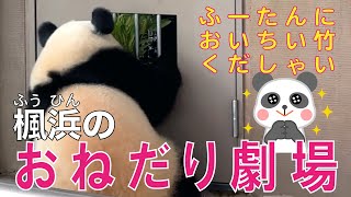 【楓浜（ふうひん）🐼】竹🎋をおねだりする姿は良浜ママ直伝？！😁おいしい竹ぷり〜じゅ〜❣️楓浜のおねだり劇場😀