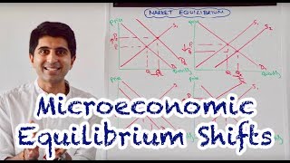 Y1 6) Microeconomic Equilibrium Shifts