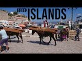 Greek Islands - Hydra, Aegina, Poros (Travel vlog)