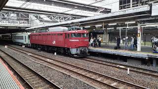 【KY出場配給】EF81 140＋キハ110-222が大宮駅11番線から発車するシーン（配8739レ）2023.10.04