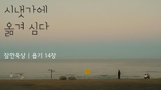 [잠깐묵상] 욥기 14장 | 시냇가에 옮겨 심다 | 성경통독 | QT