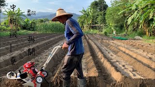 田園整理 | 翻土與開溝～中耕機使用真是一門技術活