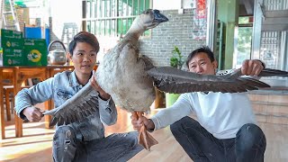 漁村滿地跑的鹹水大鵝，被灌下壹斤56度的二鍋頭，看看它有啥反應