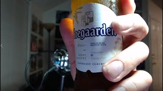 CaliDad Taste Test - Hoegaarden Witbier