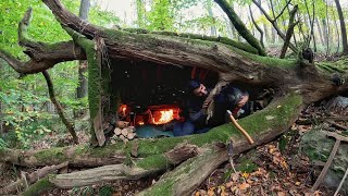 7 Days Solo Survival Camping In Rain Forest, Building Warm Bushcraft Shelter, Cl