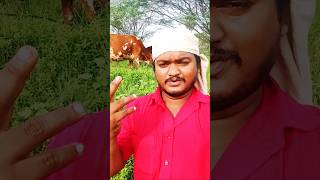 💥 கிராமத்தில் காலை வேலையில் காதல் பாடல் #village #work #song #shorts #subscribe