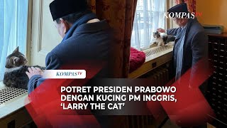 Potret Presiden Prabowo dengan Kucing PM Inggris Larry the Cat, Netizen Respons Begini