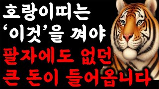 범띠 주목! 2025년 을사년 범띠 운명이 바뀝니다 범띠를 위한 충격적인 운세 2025년 대박 호랑이띠운세 38년생 50년생 62년생 74년생 86년생 98년생 호랑이띠 범띠 운세