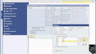 What are User defined fields in SAP Business One