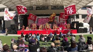 美勝女隊 ふくこいアジア祭り(第17回YOSAKOI九州中国祭り) 1日目 2018.11.17(土)