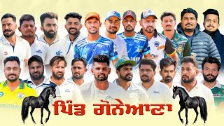 LIVE !! PIND GONEANA MUKTSAR BRAND CRICKET CUP !! LAST DAY