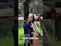 大熊猫 panda 大熊猫莽小五 五少，你一口都没吃到就被骗回去啦